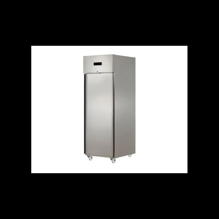 Online TECHNOFROID Armoire Réfrigérée Positive 610 L 1 Porte GN2/1