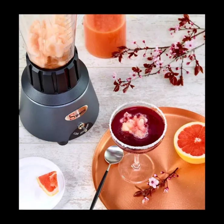 Best SANTOS Blender de Bar 1.25 L Gris Chromé n°33