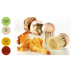 Sale YOOCOOK Brosse à champignons 4 cm