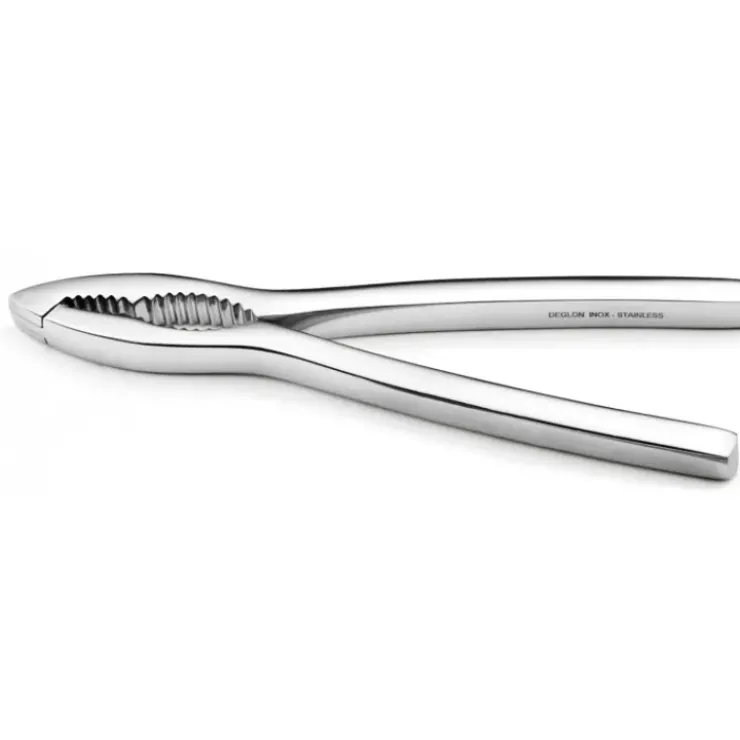 Sale DEGLON Casse Noix Pince à crustacés Inox 16 cm Déglon