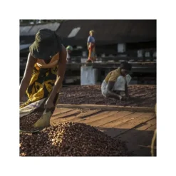 Discount VALRHONA Chocolat de Couverture Noir Millot 74% Bio 250g