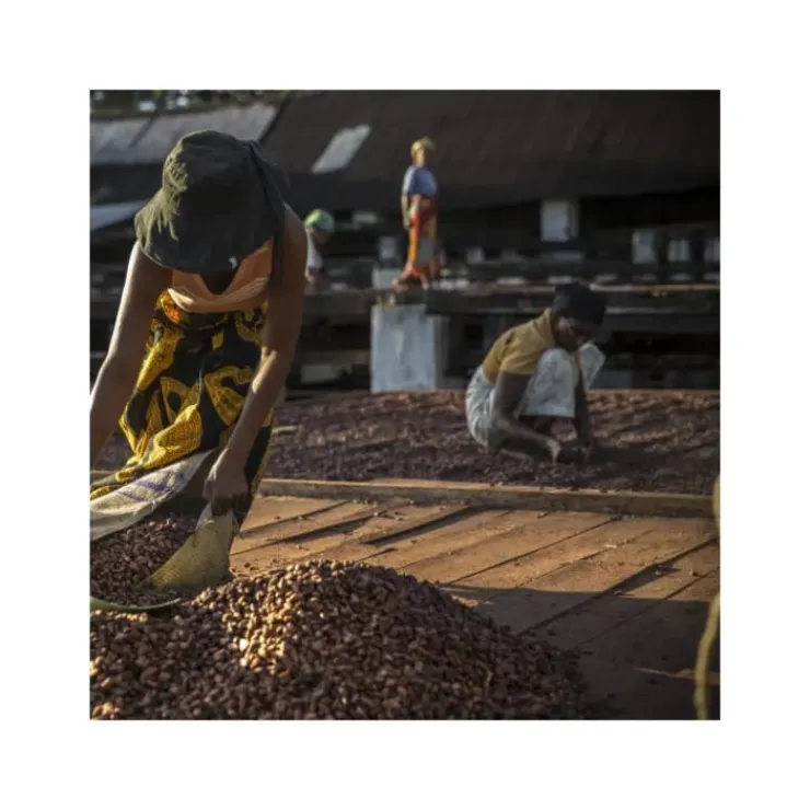 Discount VALRHONA Chocolat de Couverture Noir Millot 74% Bio 250g