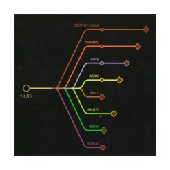 Outlet BARRY Chocolat Noir Inaya 65% 5 kg