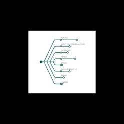 Best BARRY Chocolat Noir Ocoa 70% 1 kg