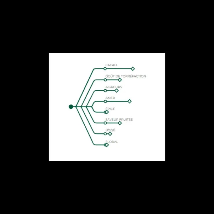Best BARRY Chocolat Noir Ocoa 70% 1 kg