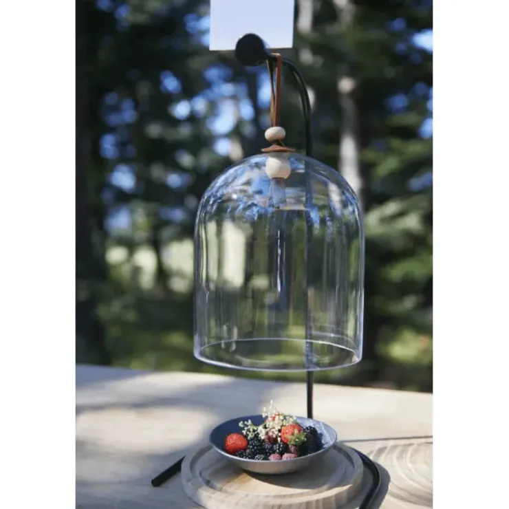 Best REVOL Cloche à Gâteau avec Socle en Chêne 20 cm Inspired by