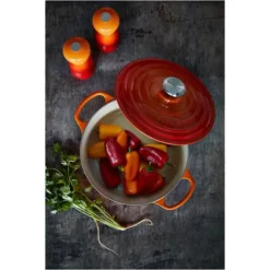 Hot LE CREUSET Cocotte en Fonte Ronde 22 cm Volcanique Signature