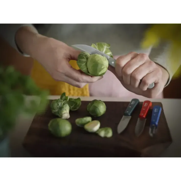 Outlet OPINEL Coffret 3 Couteaux de Cuisine et un Eplucheur Primo Les Essentiels