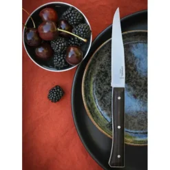 Sale OPINEL Coffret 4 Couteaux de Table Frêne Sombre Facette