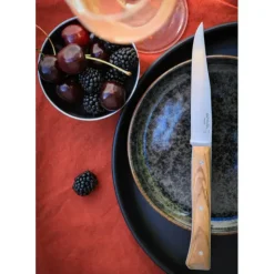 Sale OPINEL Coffret 4 Couteaux de Table Olivier Facette