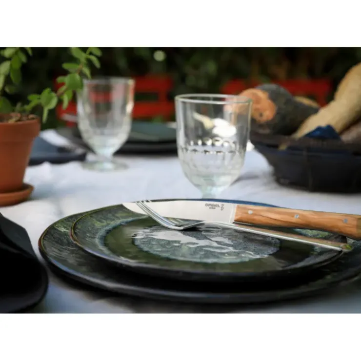 Sale OPINEL Coffret 4 Couteaux de Table Olivier Facette