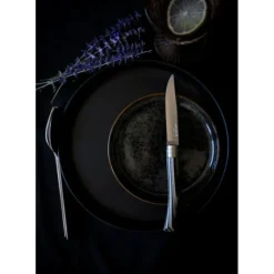 Outlet OPINEL Coffret 4 Couteaux de Table Bouleau Lamellé Table Chic