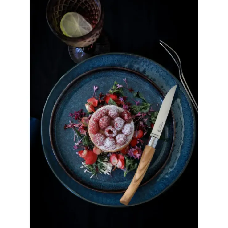 New OPINEL Coffret 4 Couteaux de Table Olivier Table Chic