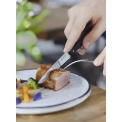 OPINEL Coffret 4 Couteaux de Table N°125 Pro Bon Appétit +