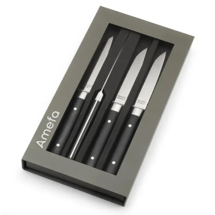 AMEFA Coffret 4 Couteaux Steak Fusion 22 cm