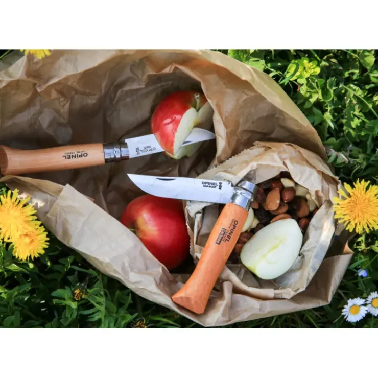 Hot OPINEL Couteau de Poche N°10 en Inox