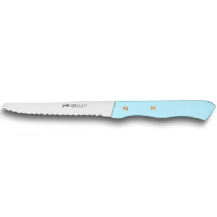 Best SABATIER Couteau de Table Cranté 10,5 cm Turquoise