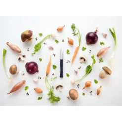 Sale OPINEL Couteau d'Office N°225 Intempora