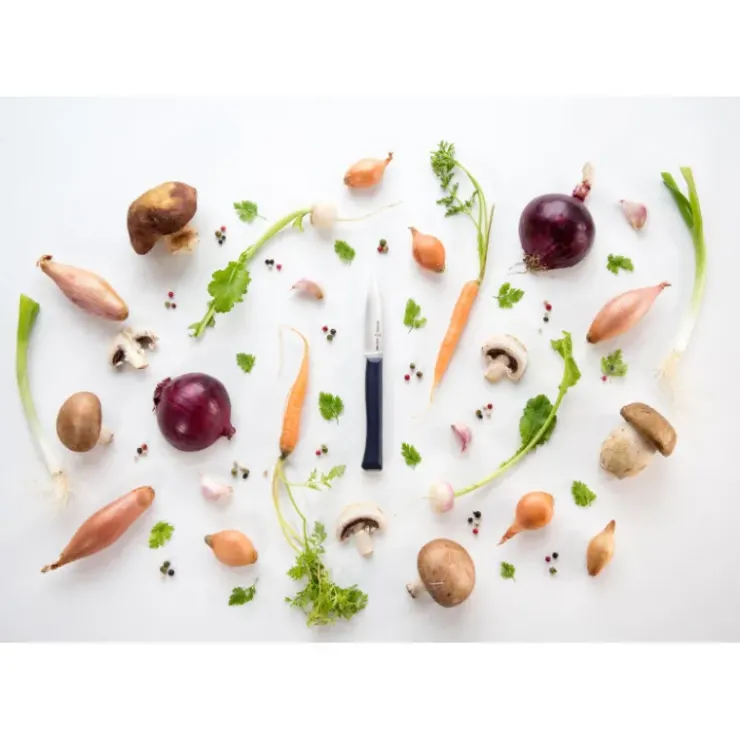 Sale OPINEL Couteau d'Office N°225 Intempora