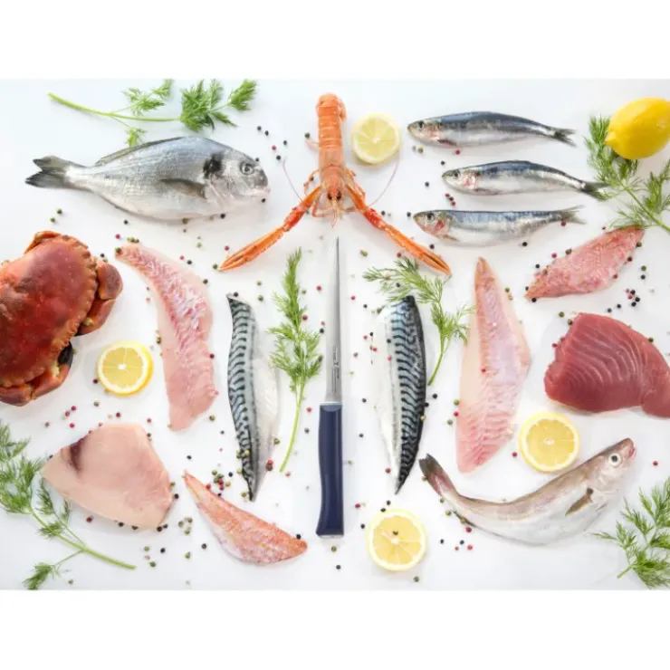 Discount OPINEL Couteau Effilé N°221 Intempora