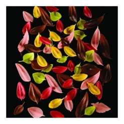 Online PAVONI Couteau Inox Feuille 6 x 3 cm Flychoc