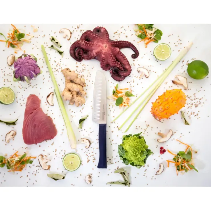 Discount OPINEL Couteau Santoku N°219 Intempora