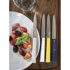 Online OPINEL Couteaux de Table (x4) Céleste Bon Appétit !