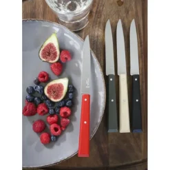 Sale OPINEL Couteaux de Table (x4) Loft Bon Appétit !