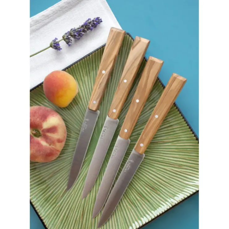 Sale OPINEL Couteaux de Table (x4) Sud Bon Appétit !