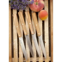 Sale OPINEL Couteaux de Table (x4) Sud Bon Appétit !