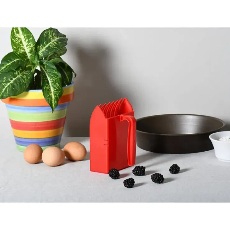 Discount YOOCOOK FIN DE SERIE Peigne plastique à mûres et myrtilles