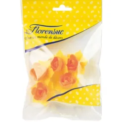 Clearance FLORENSUC Fleurs de Jonquille orange x5 - en Azyme