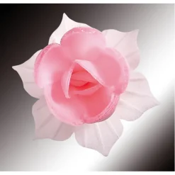 Sale FLORENSUC Fleurs de Jonquille rose x5 - en Azyme