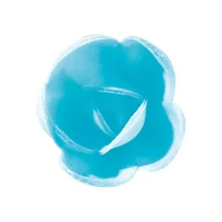 Outlet FLORENSUC Fleurs de rose bleue x6, grandes feuilles x12 - en Azyme