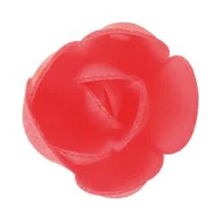 Clearance FLORENSUC Fleurs de rose carmin x6, grandes feuilles x12 - en Azyme