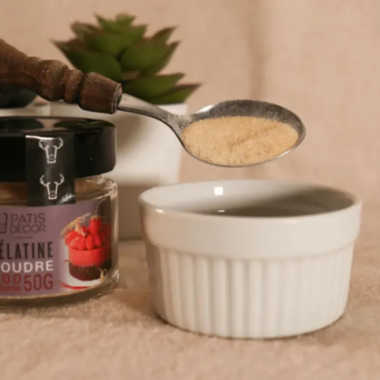 Hot PATISDECOR Gélatine Bovine en Poudre 200 Blooms 50 g Patisdécor