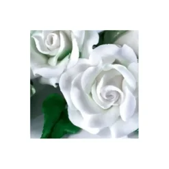 Best RENSHAW Gum Paste Blanc 250 g