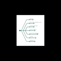 BARRY Lactée Caramel, Pistoles Chocolat Couverture 31,1 % 1 kg