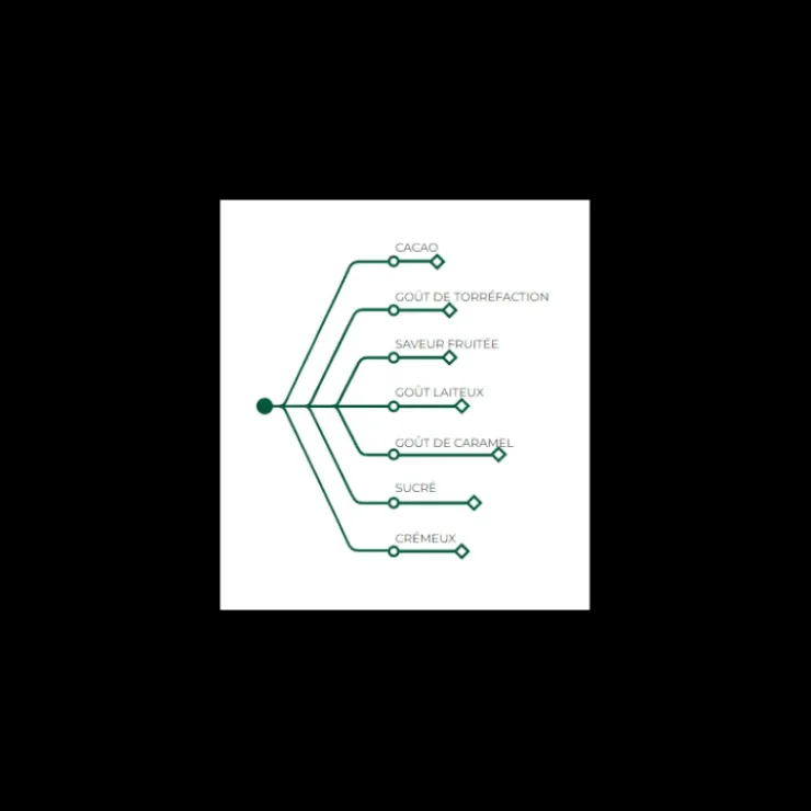 BARRY Lactée Caramel, Pistoles Chocolat Couverture 31,1 % 1 kg