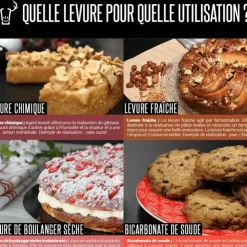 Outlet PATISDECOR Levure Chimique 60 g Patisdécor