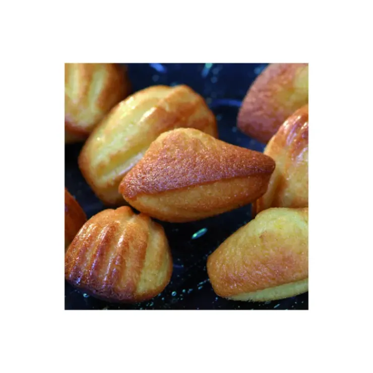 Best FLEXIPAN Mini-Madeleines - Moule silicone