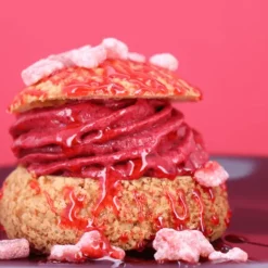 Online PATISDECOR Mix Sorbets Maison 300 g Patisdécor