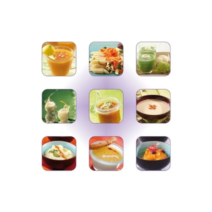 Discount ROBOT-COUPE Mixeur Plongeant CMP 250 V.V Robot Coupe