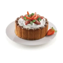 Sale MALLARD FERRIERE Moule à Charlotte Silicone 180 mm x H 60 mm Silikomart