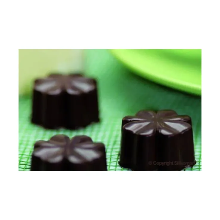 Best EASY CHOC Moule à Chocolat 15 Fleurs - Silicone Spécial Chocolat
