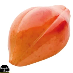 Clearance Chocolat Form Moule Chocolat Fève Cacao 47,5 mm (x24)