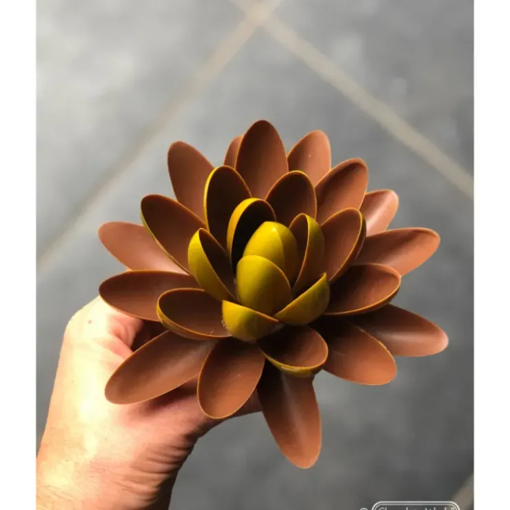 Best CHOCOLATE WORLD Moule Chocolat Lentille Oblique 62,5 mm (x14)