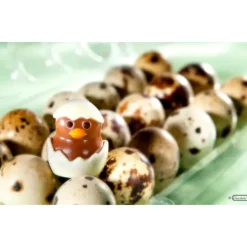 Clearance CHOCOLATE WORLD Moule Chocolat Poussin 33 mm (x12)