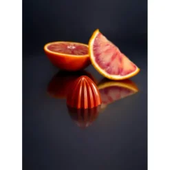 New CHOCOLATE WORLD Moule Chocolat The Juicer 3 cm (x21)