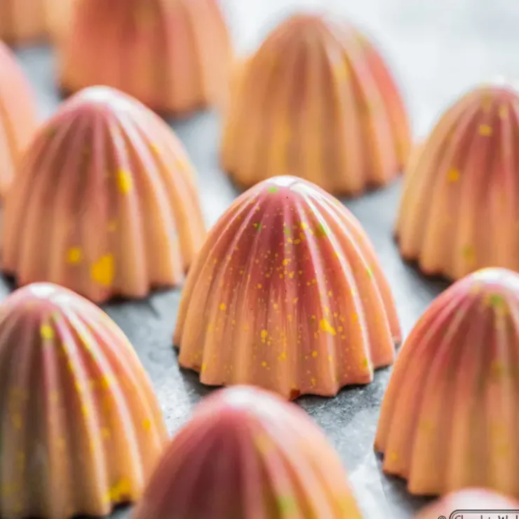 New CHOCOLATE WORLD Moule Chocolat The Juicer 3 cm (x21)